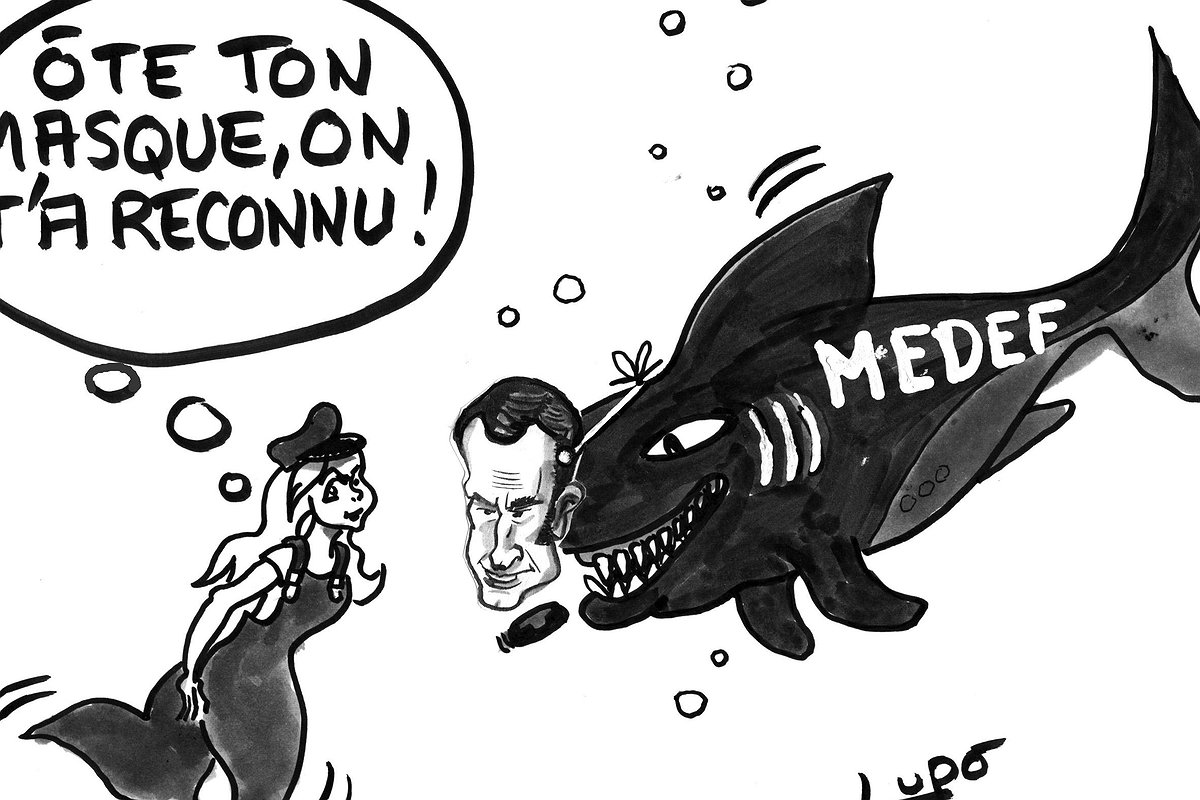 Illustration article