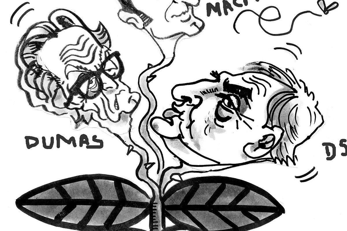 Illustration article