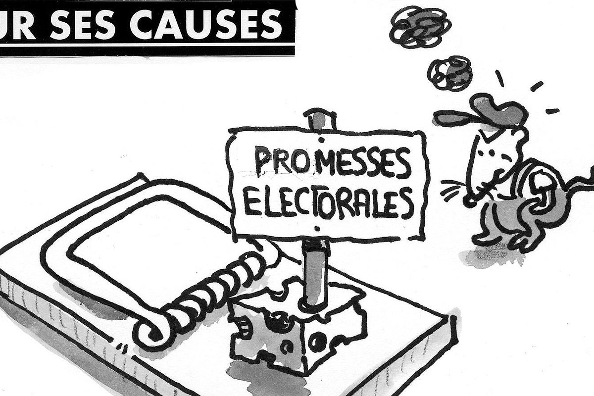 Illustration article