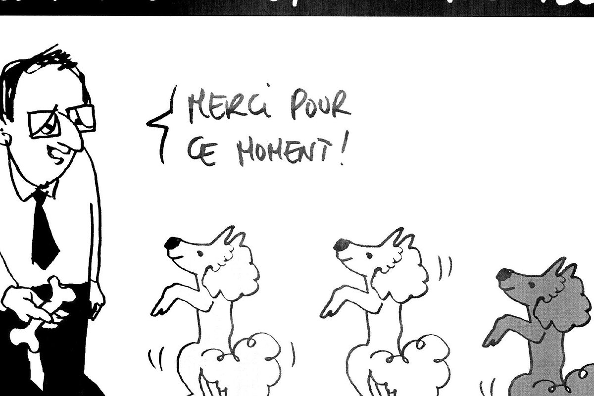 Illustration article