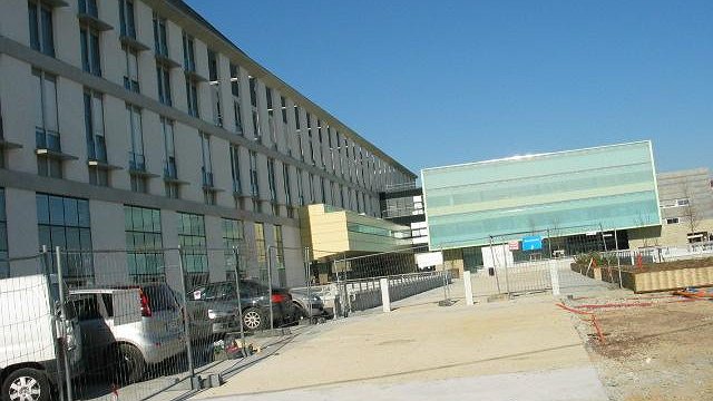 Illustration article