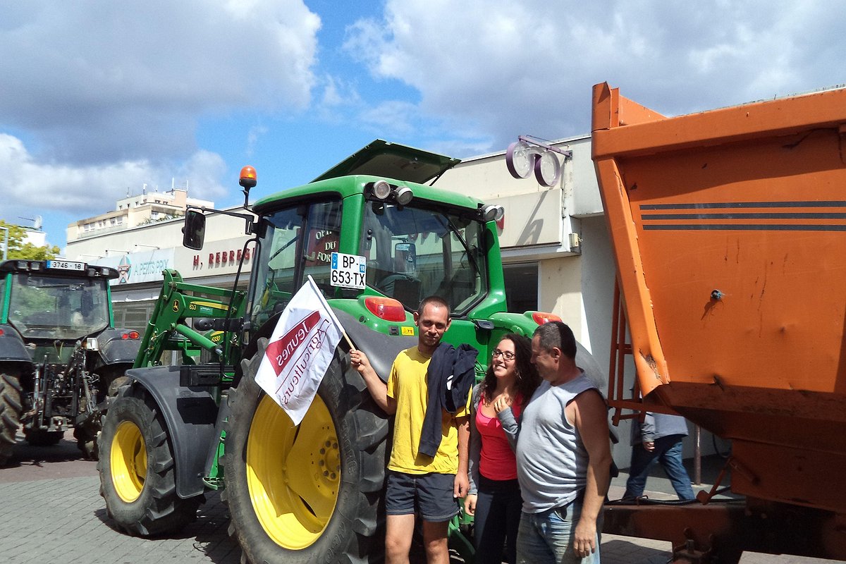 Illustration article