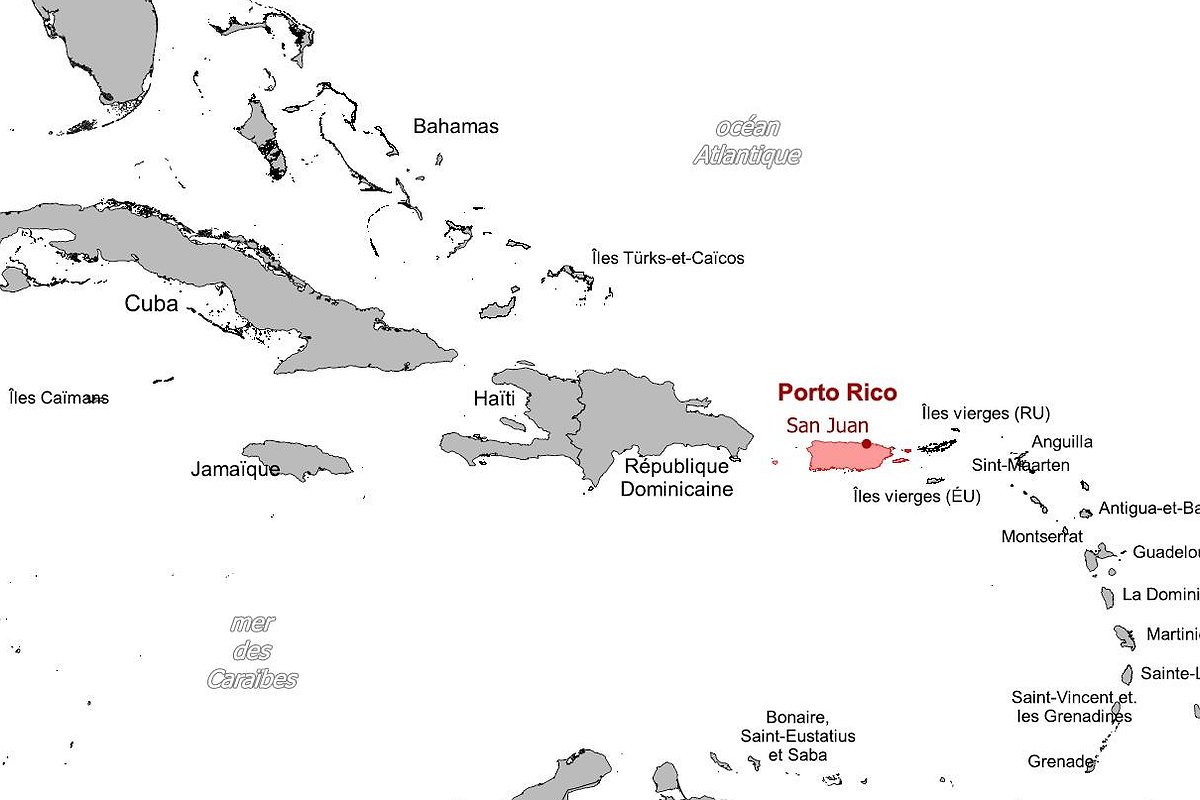 Illustration article