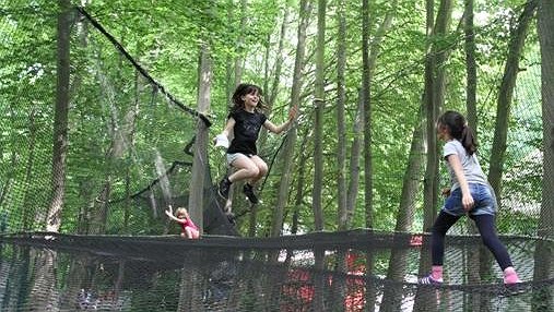 Illustration article