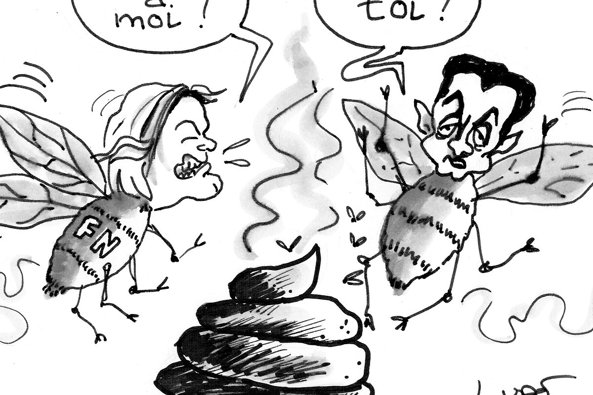 Illustration article