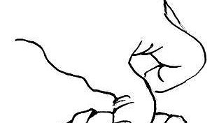 Illustration article