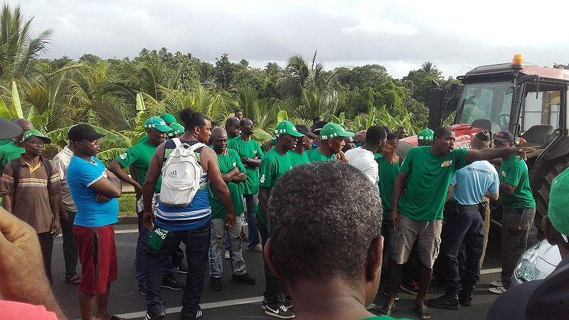 Illustration article