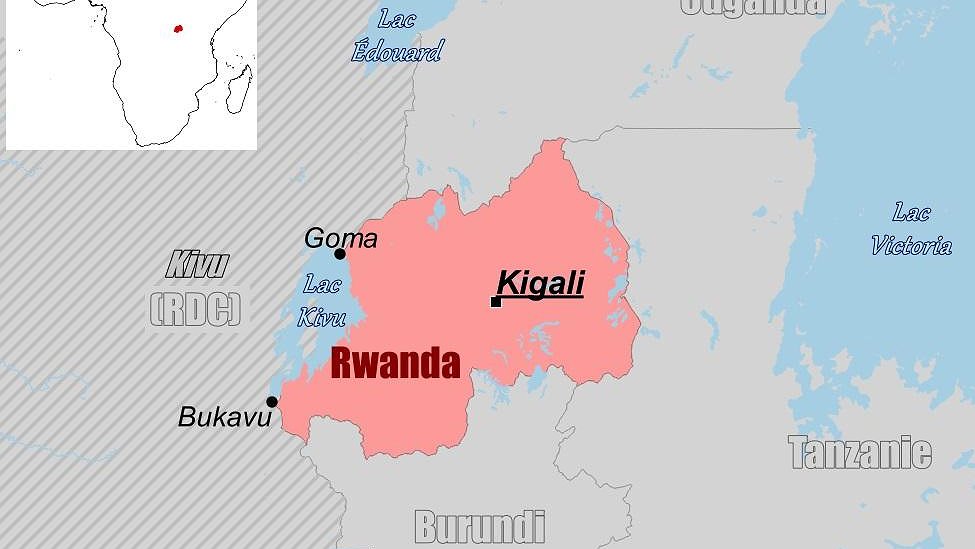 Illustration article