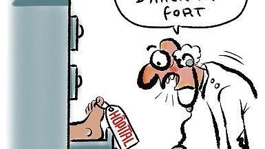 Illustration article