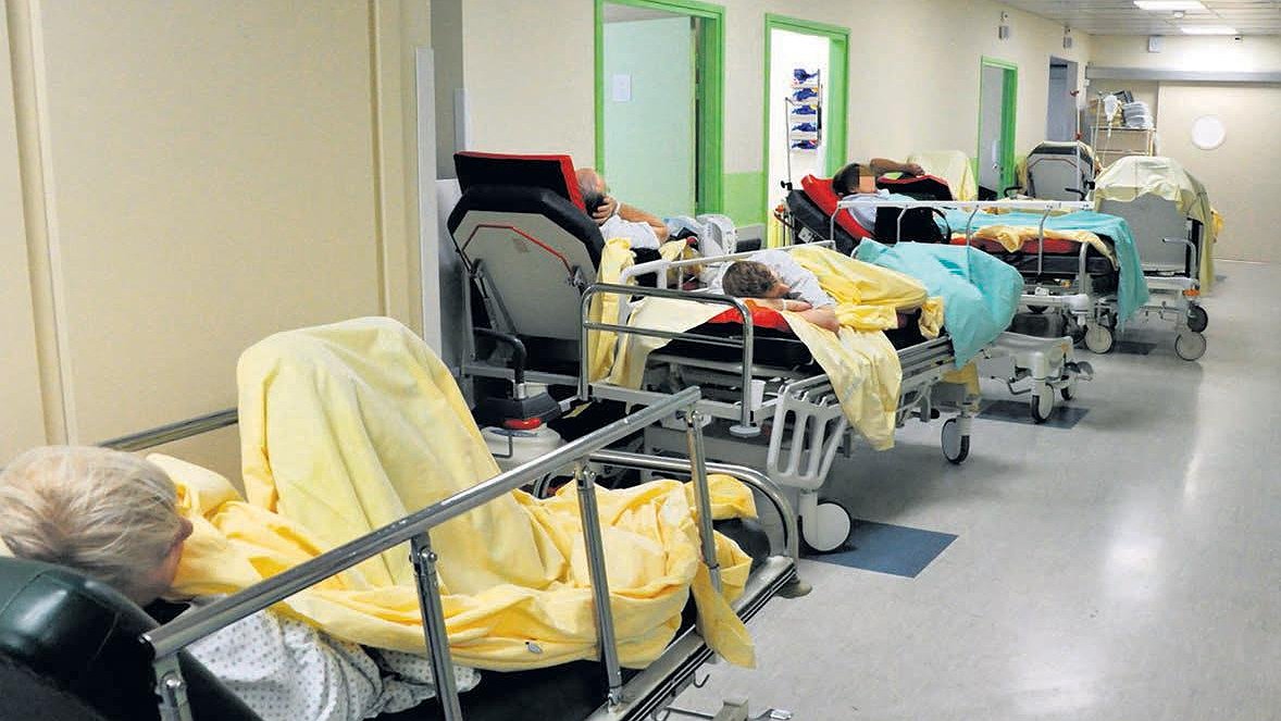 La course au profit, un virus mortel