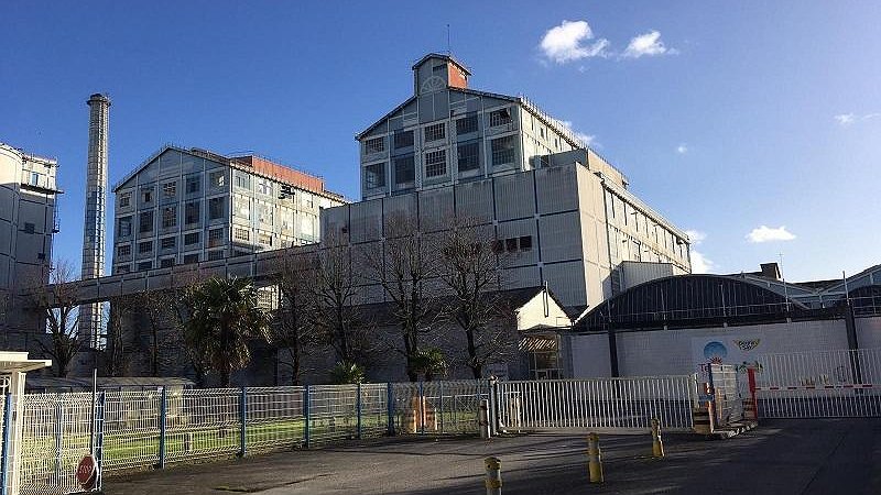 Illustration article