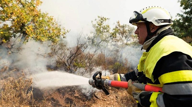 Illustration article