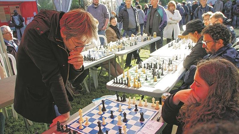 Illustration article