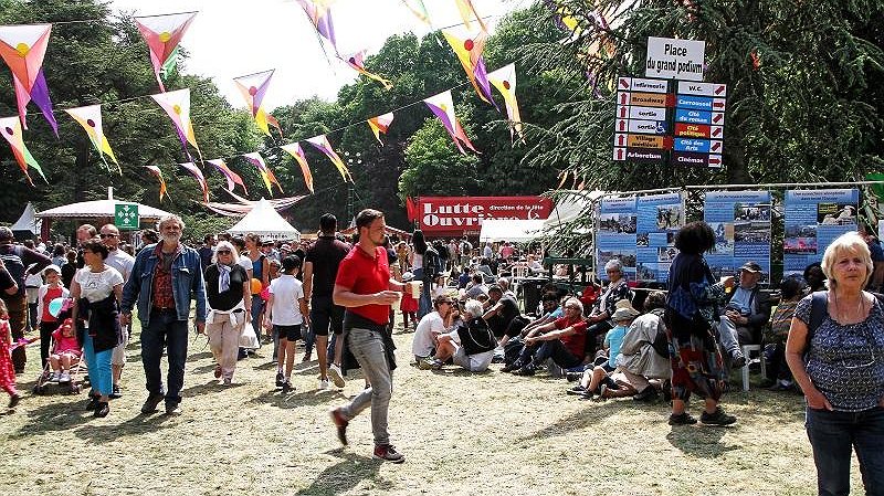 Illustration article